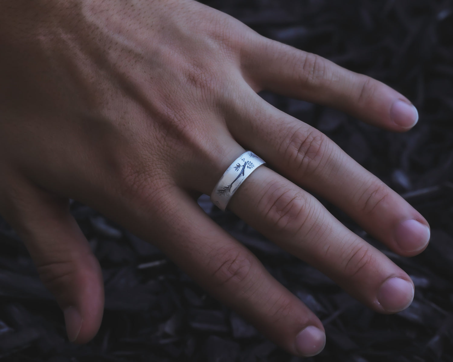 Silver Ring, Ponderosa Pine Band