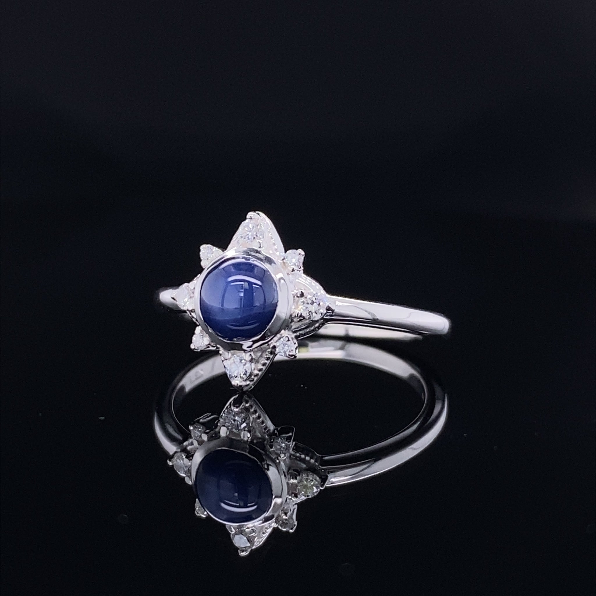 Pointing North Star Sapphire and Diamond Ring