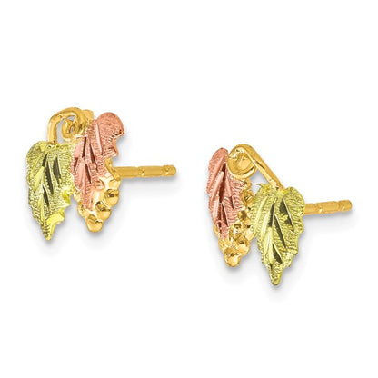 10k Tri-color Black Hills Gold Leaf Earrings