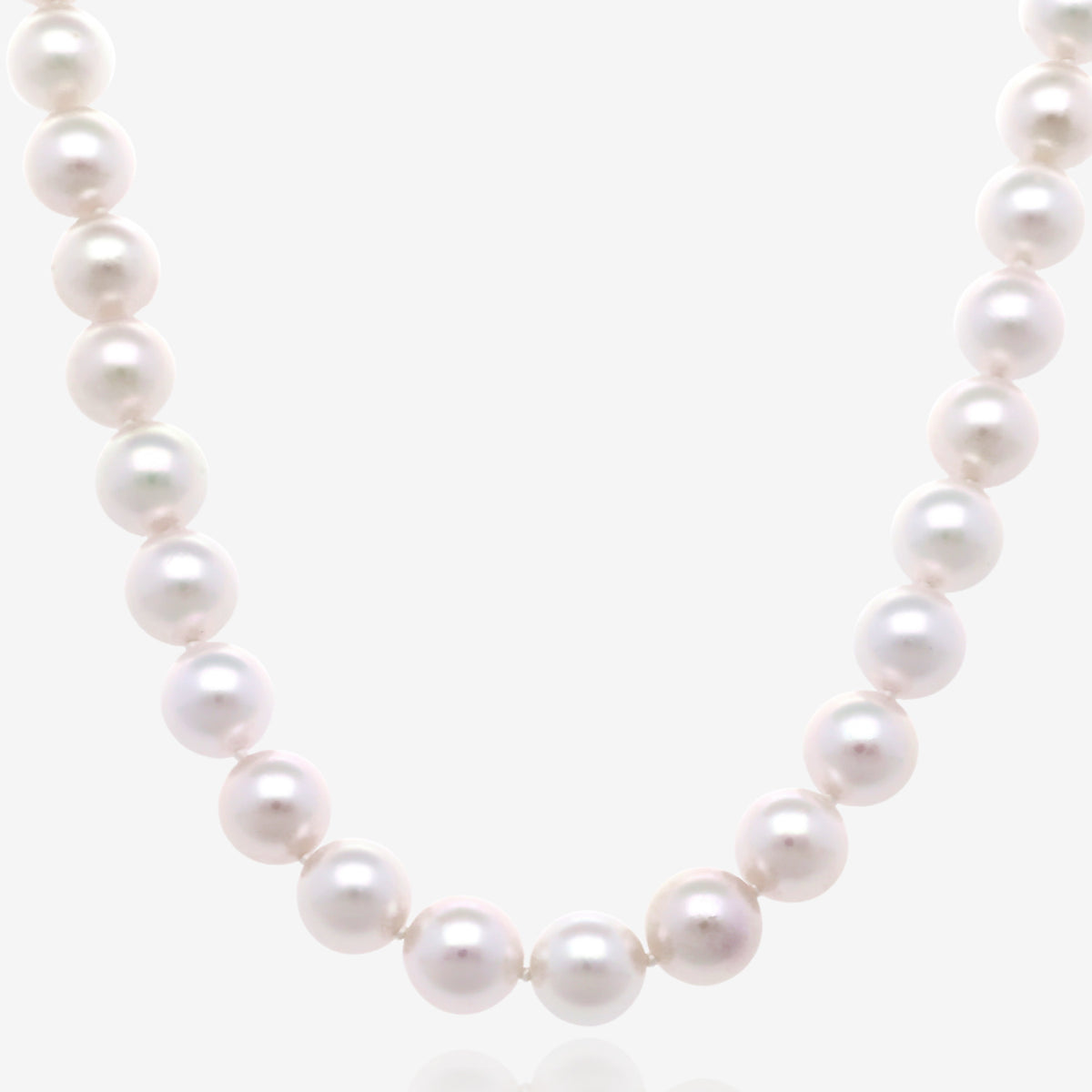 Pearl Grace Akoya Necklace