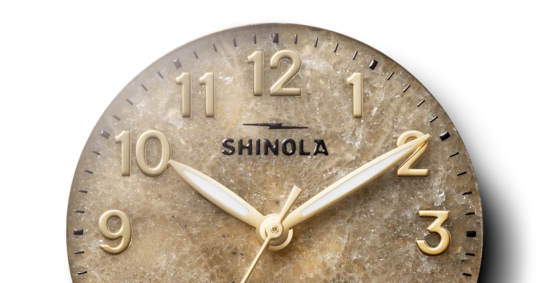 SHINOLA Ladies Petoskey Birdy Watch Two Tone