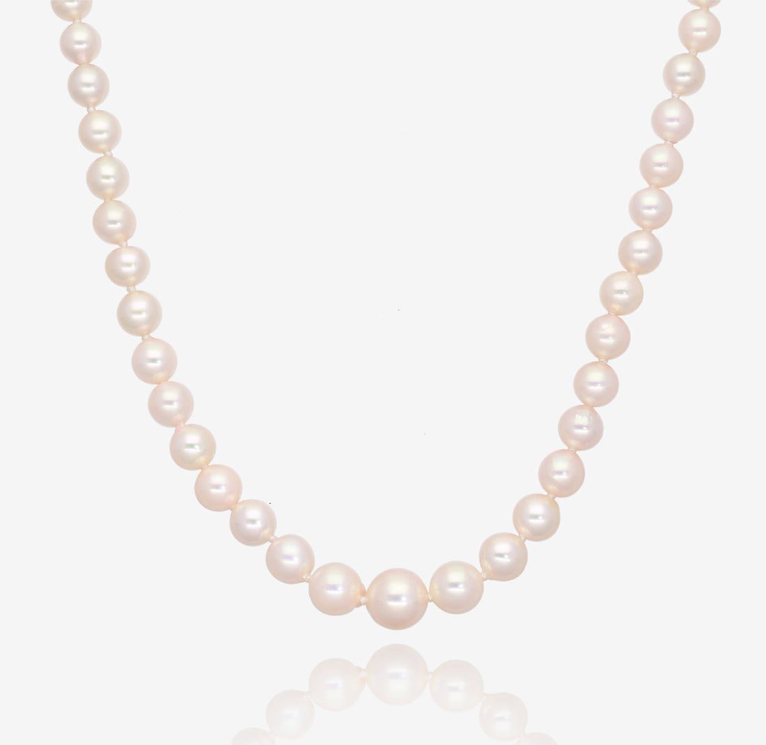 Drops of Champagne: Graduate Akoya Pearl Necklace