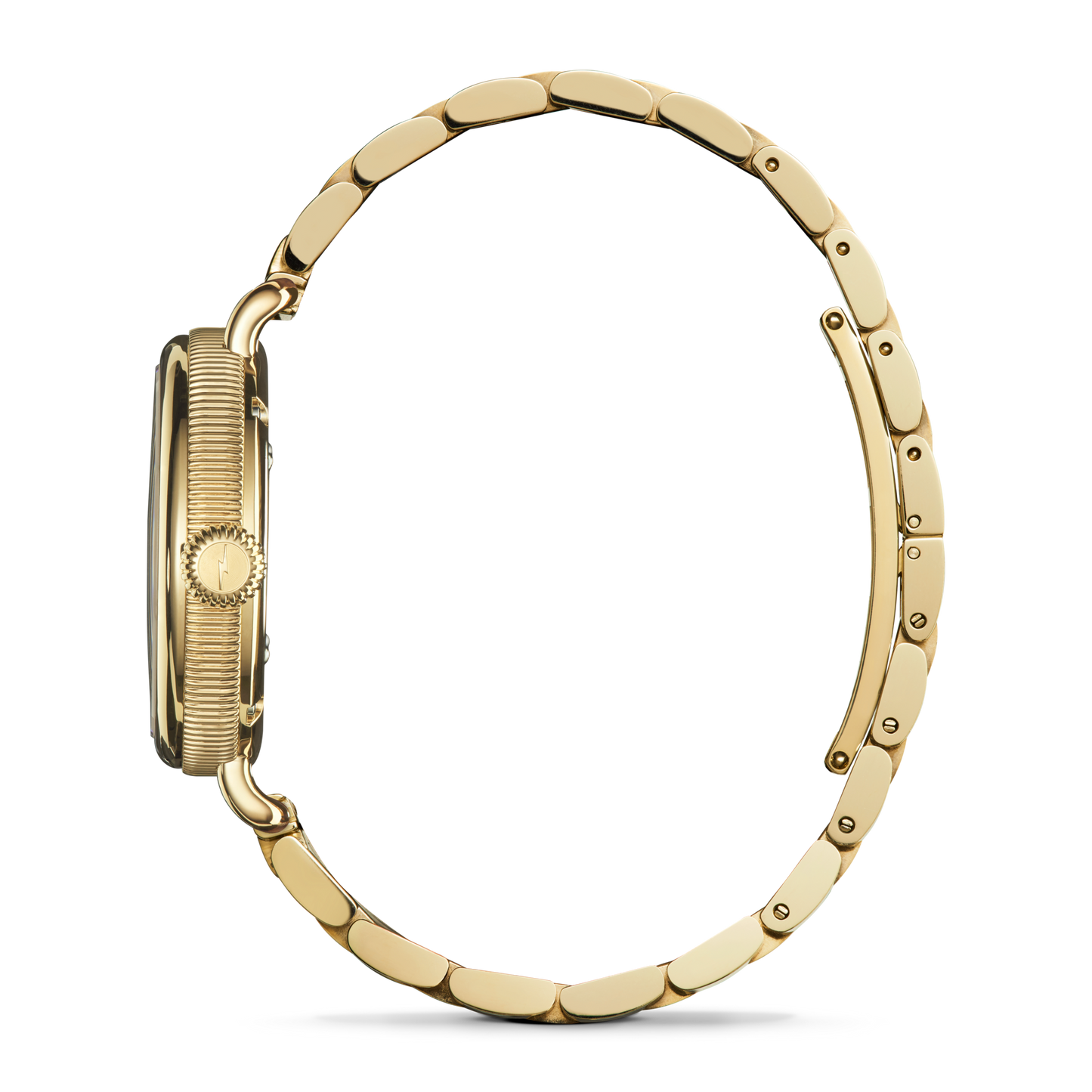 SHINOLA Ladies Birdy Lapis Gold Tone Watch