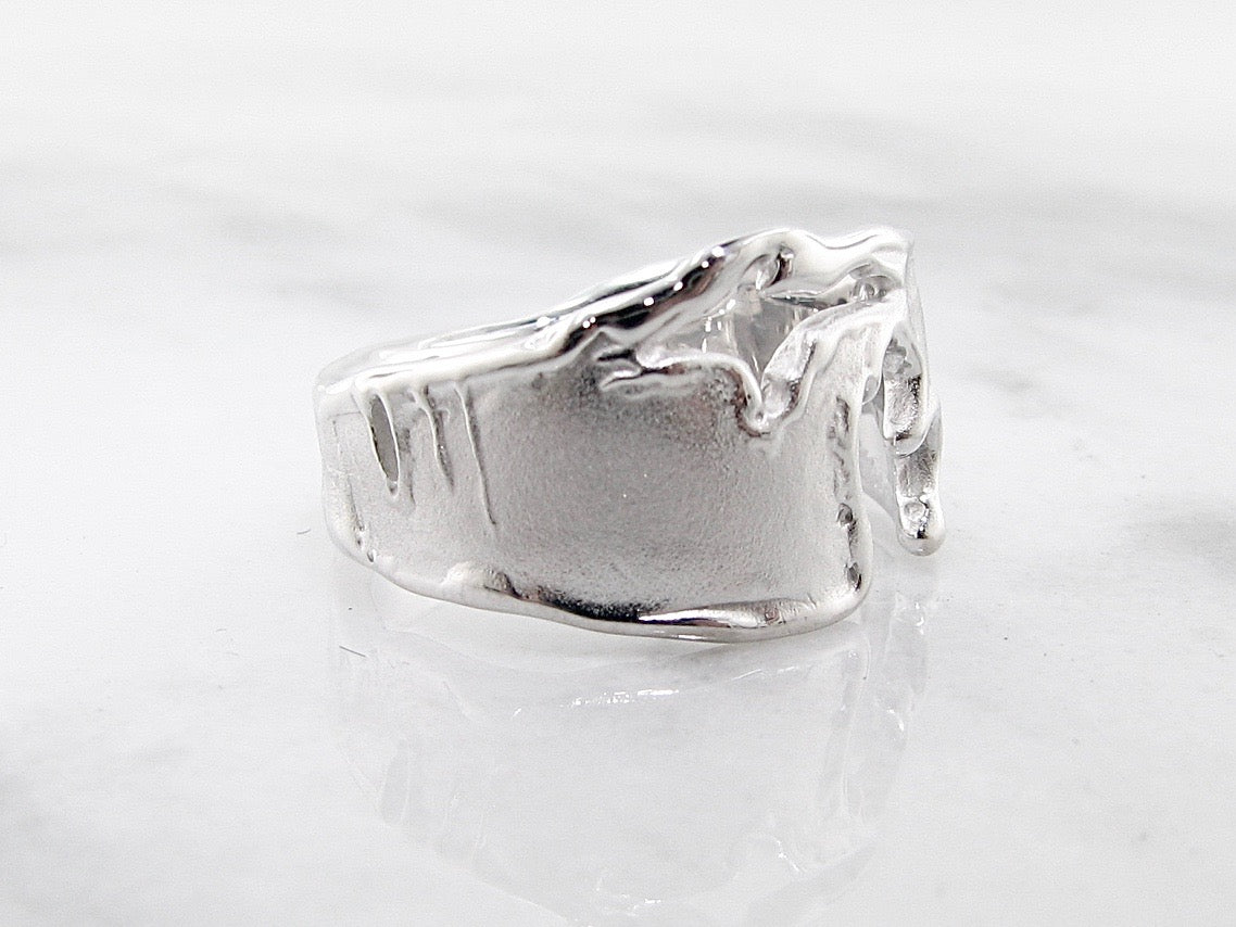 Michigan Silver Ring