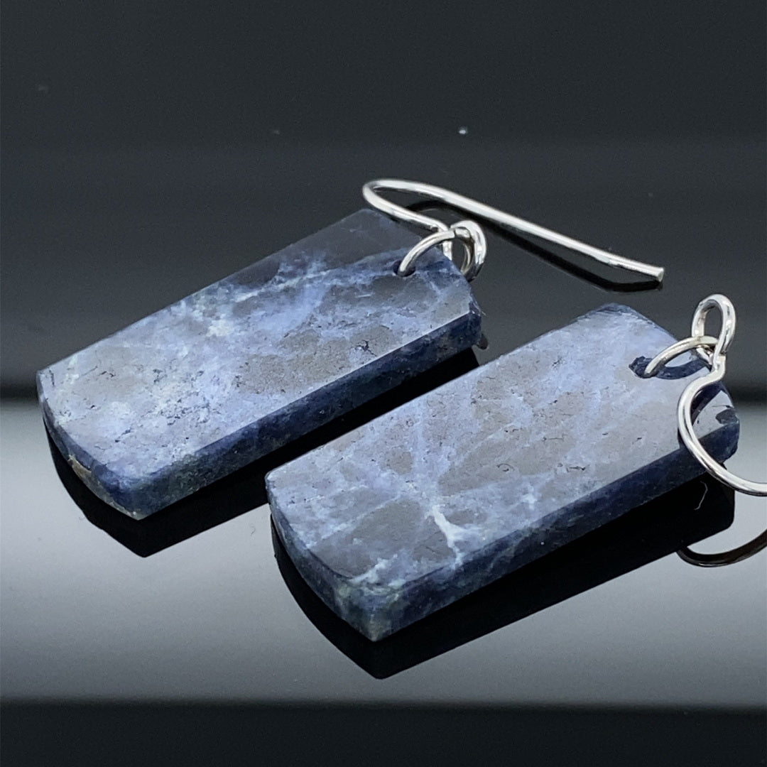 SS Sodalite Monolith Earrings