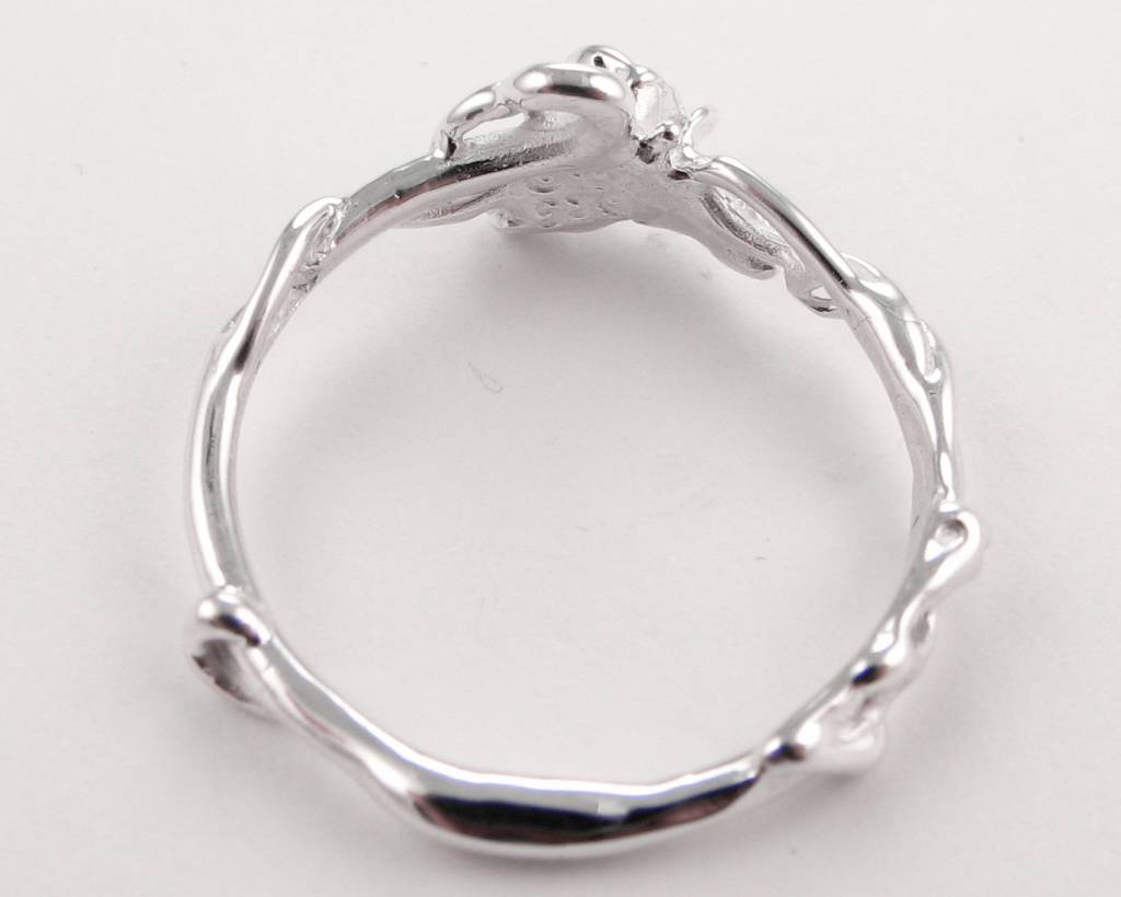 Silver Ring, Rose Garden